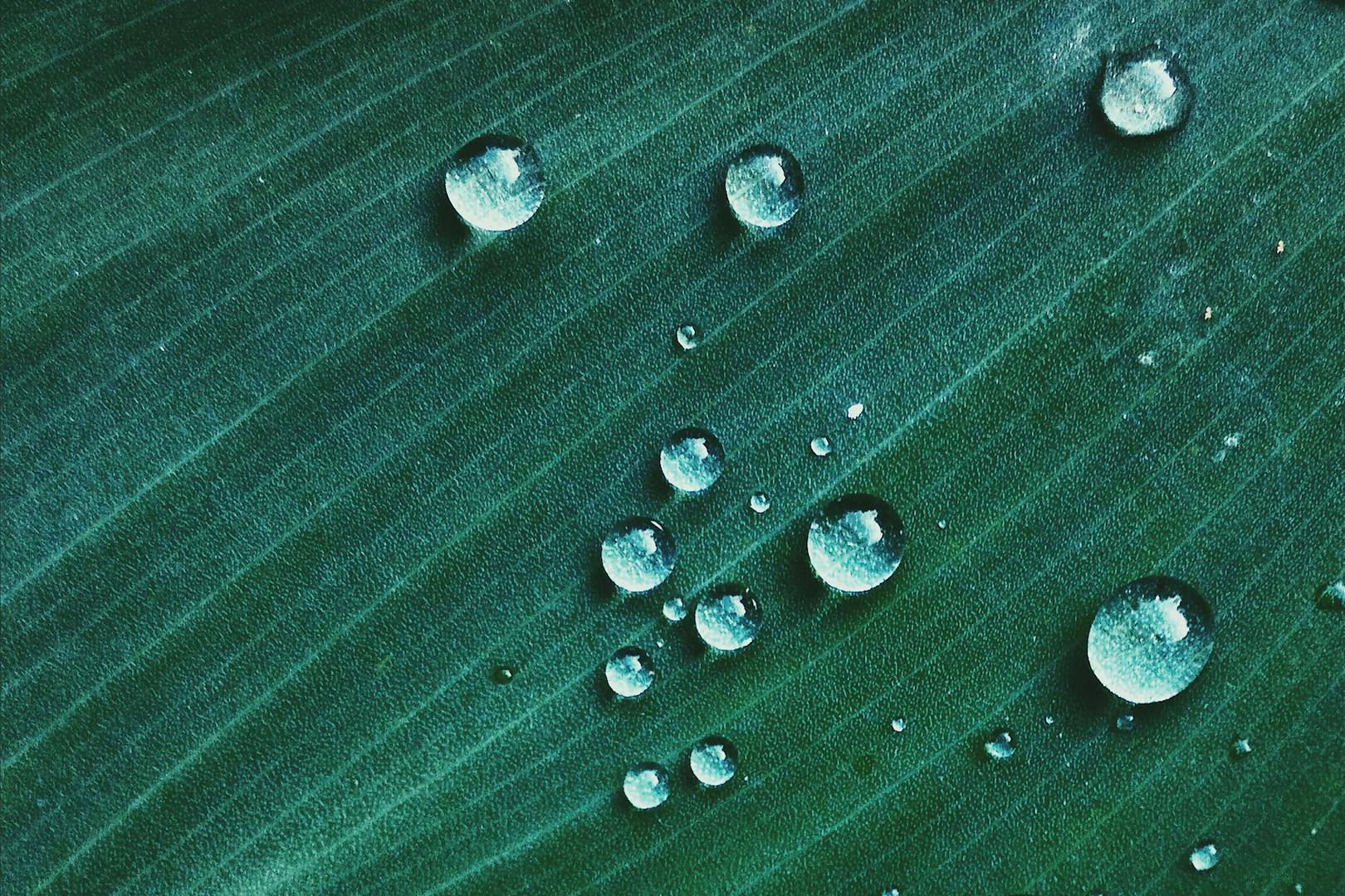 Pelle disidratata: una mancanza di acqua